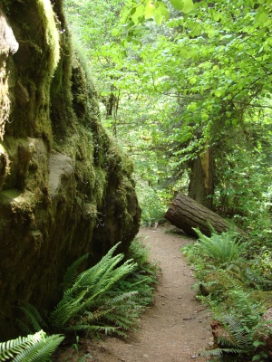 090601-falls-susancreek-2 Along the way to Susan Creek falls